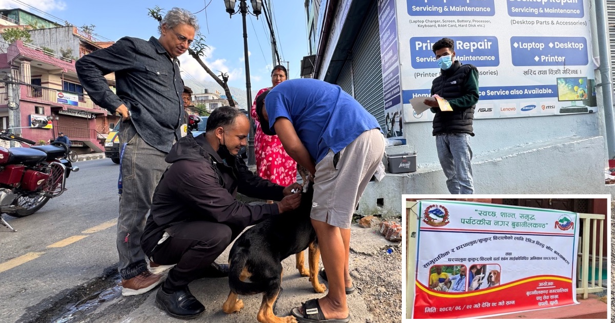कुकुर/बिरालो नि: शुल्क खोप र माईक्रोचिपिङको लागी सबै वडामा शिविर सञ्चालन